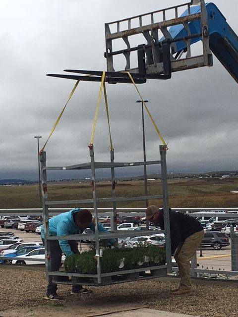 Airport green roof project ✈️ Rapid City Regional Airport Airport roof project