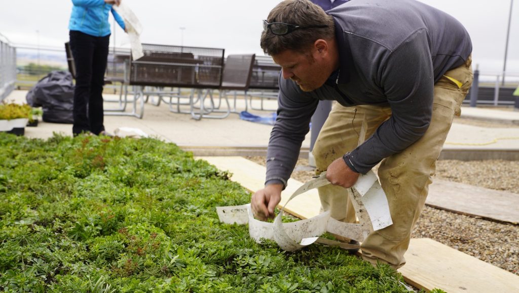 Rapid City Regional Airport Green roof ✈️ Rapid City Regional Airport Rapid City Regional Airport Green roof