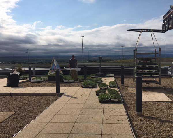 green-roof-construction ✈️ Rapid City Regional Airport Airport Green Roof Installation