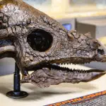 hell-creek ✈️ Rapid City Regional Airport Dinosaurs of the Hell Creek Museum Land at Rapid City Regional Airport